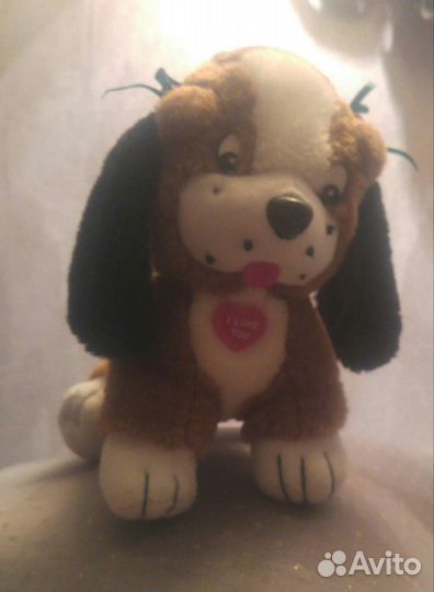 Маленькая собачка