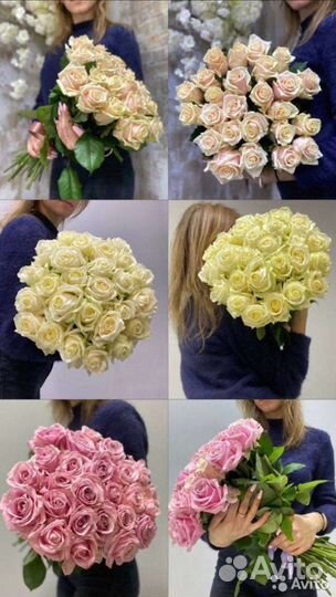 Цветы Краснодар опт и розница