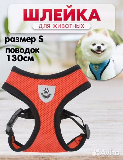 Шлейка прогулочная с поводком для собак и кошек