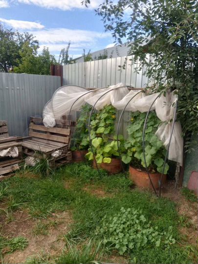 3-к. квартира, 41,5 м², 1/1 эт.