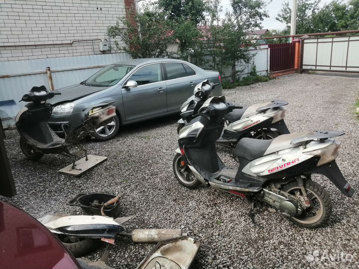 Ирбис нирвана разбор