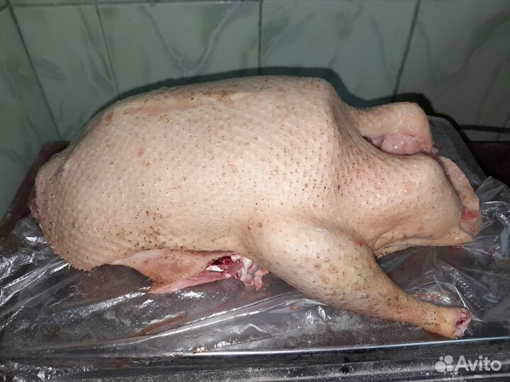 Домашние уточки