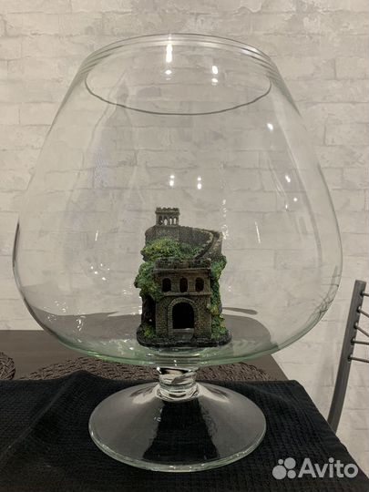 Аквариум - бокал для рыбок