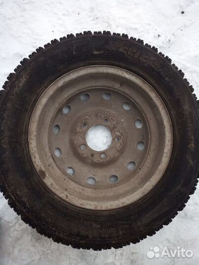 Forward Arctic 511 175/80 R16