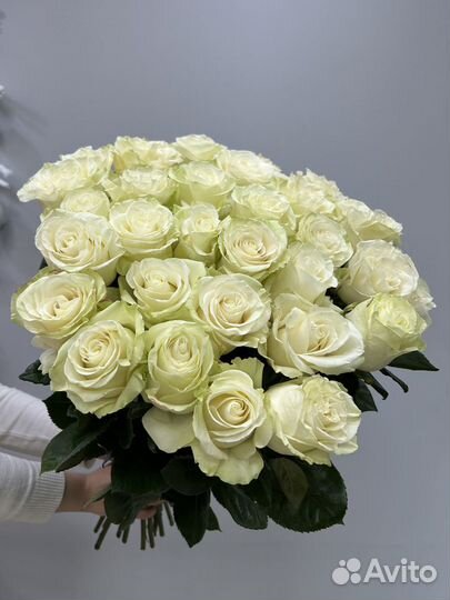Букет из 21 высокой белой розы