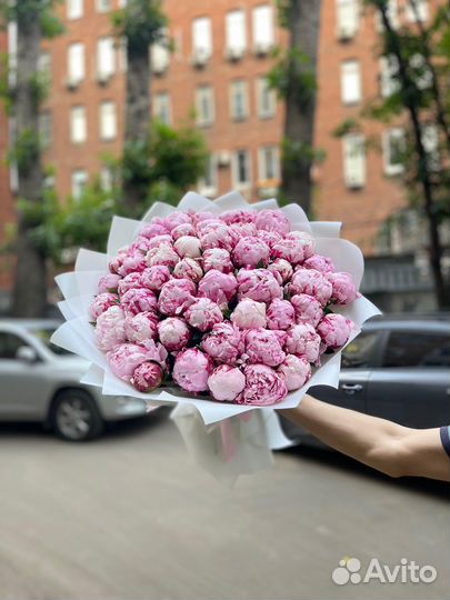 Пионы букет