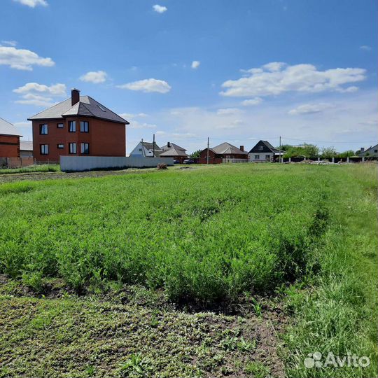 Сено отдадим