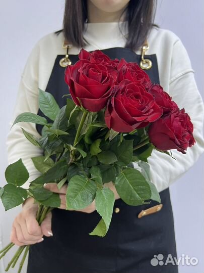 Роза 9 шт