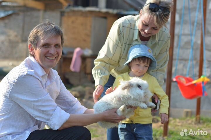 Фокусник иллюзионист с кроликом