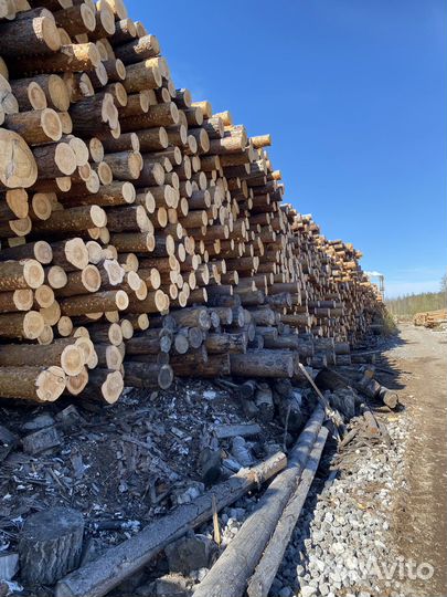 Участок по производству пиломатериалов