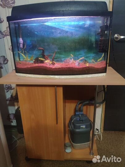 Аквариум на 50 литров