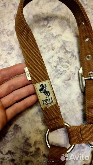 Недоуздок для лошади