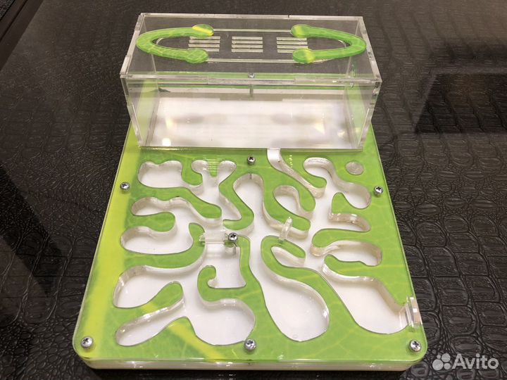 Муравьиная ферма