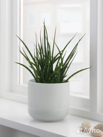 Икеа градвис Кашпо, серый 15 см