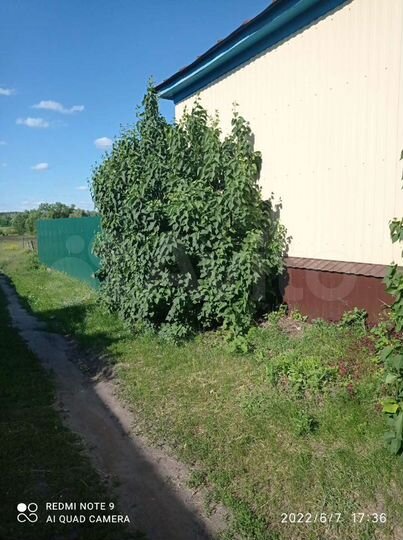 Дом 56,8 м² на участке 15 сот.