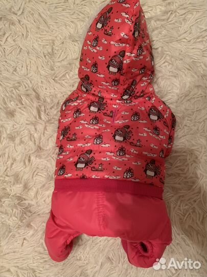 Зимний комбинезон