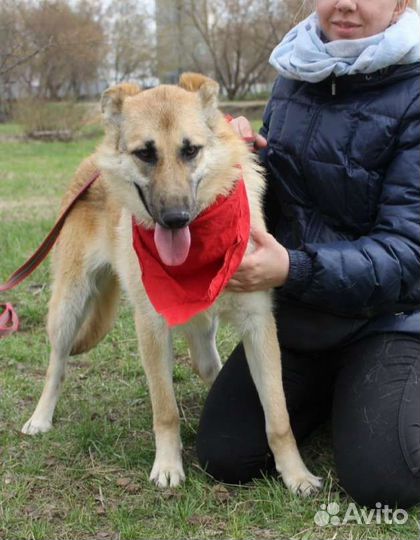 Ласковая девочка Винки