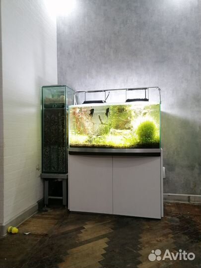 Аквариум