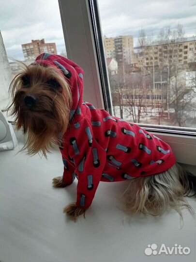 Толстовка для собак