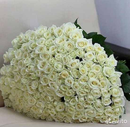 Высокие розы