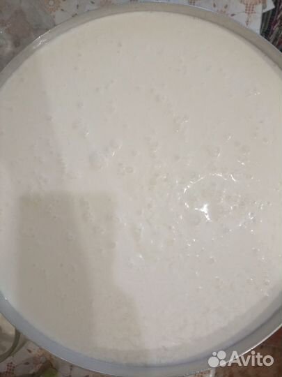 Молоко коровье домашнее