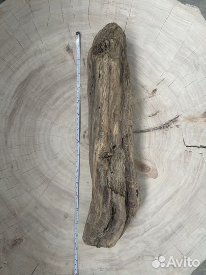Дрифтвуд Морская коряга
