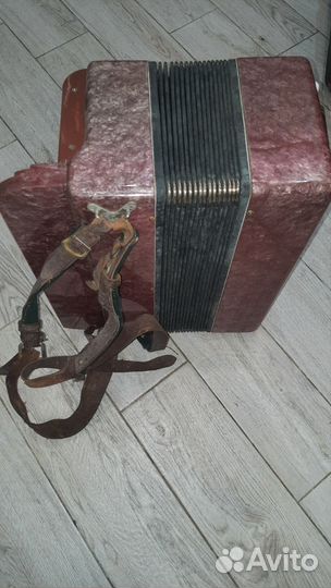 Баян Ростов-Дон