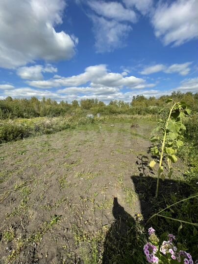 Дача 12 м² на участке 10 сот.