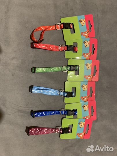 Ошейник и поводок для животных