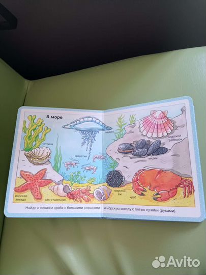 Энциклопедия для малышей 