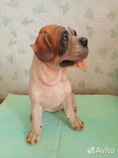 Собака ростовая, сенбернар