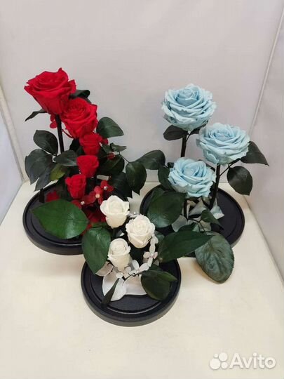 Подарок на новый год / Цветы