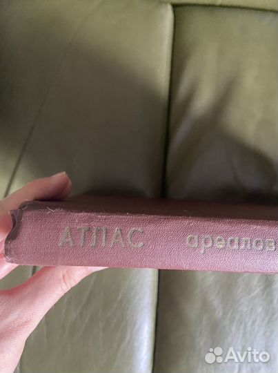 Атлас ареалов и ресурсов лекарственных растений