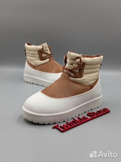 Угги UGG classic mini lace-UP weather chestnut