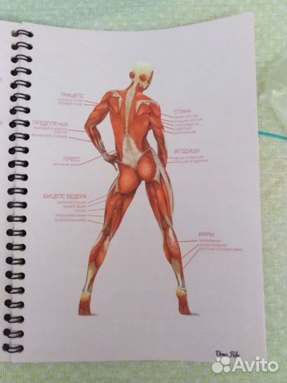 Дневник тренировок