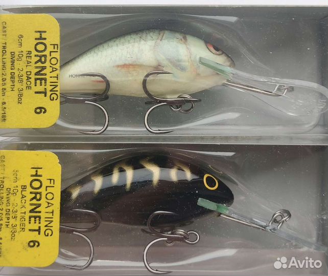 Salmo hornet 6F-RD/BT