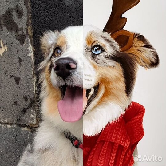 Портрет питомца