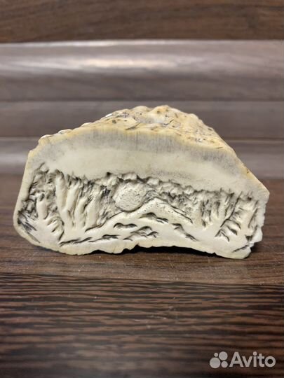 Подставка для ручки. Кость