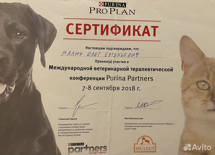 Ветеринарный врач на дом