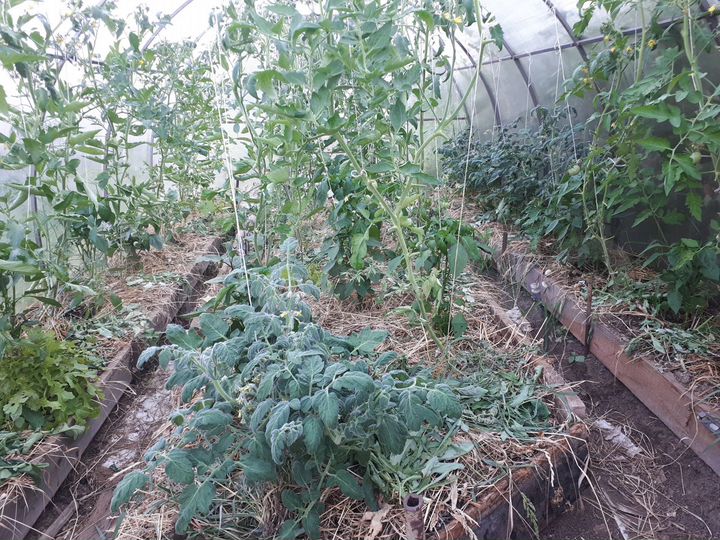 Дача 20 м² на участке 6 сот.