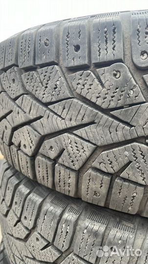 Gislaved NordFrost 100 195/65 R15