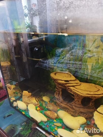 Аквариум 80 литров