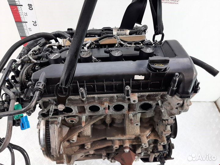 Двигатель (двс) для Ford Focus 2 1525704