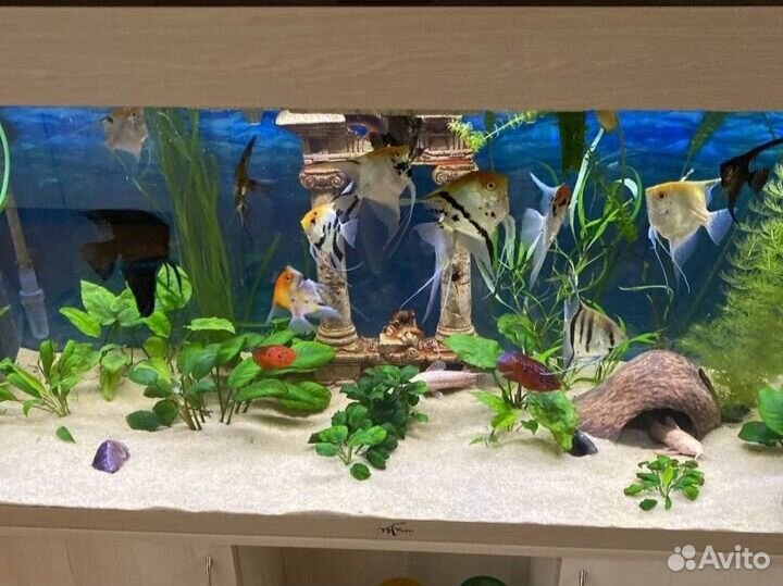 Светодиодный светильник для аквариума