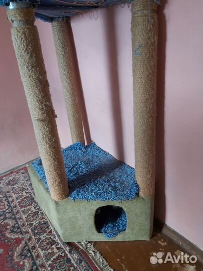 Когтеточка домик для кошки бу