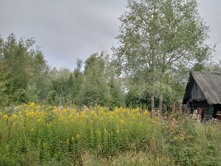 Дом 52,8 м² на участке 7,5 сот.