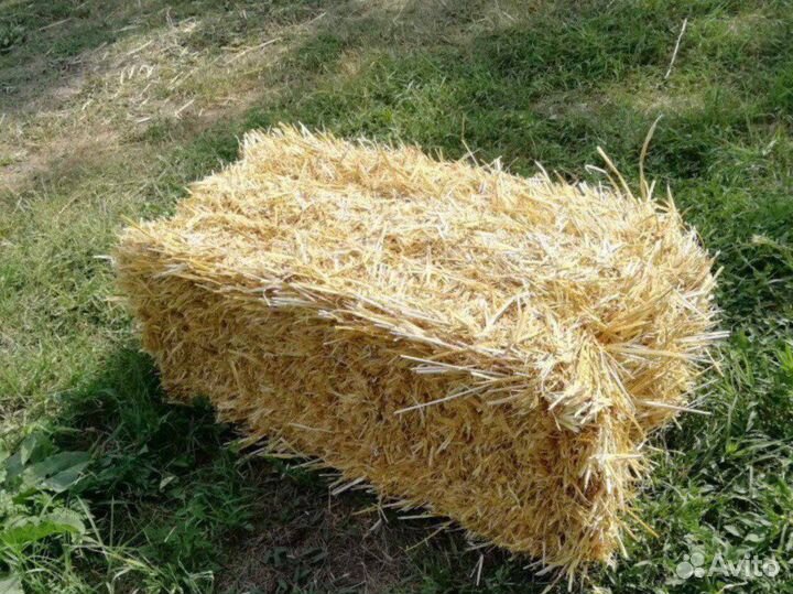 Солома в тюках