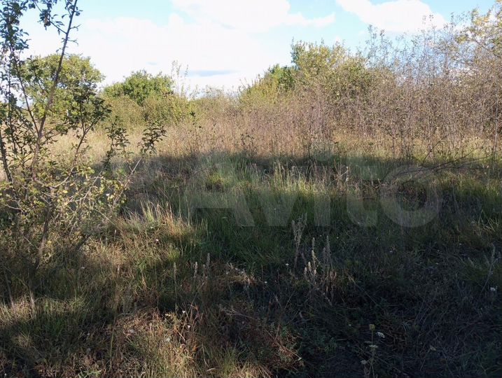 Участок 4 сот. (СНТ, ДНП)