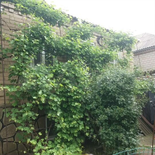 Дом 65,9 м² на участке 4 сот.