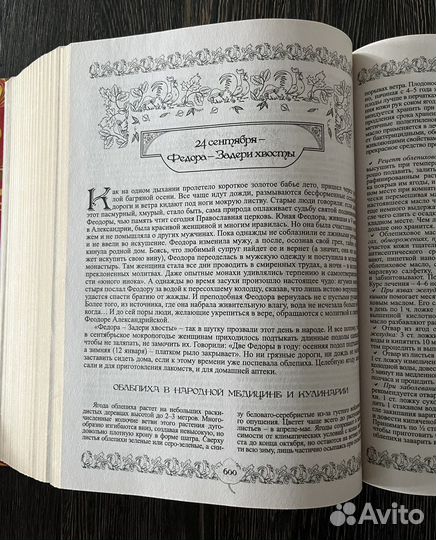 Энциклопедия народных премудростей